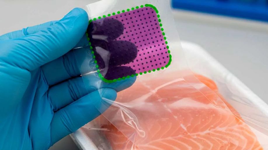 Empaques inteligentes: la innovación peruana que revoluciona el control de frescura de los alimentos